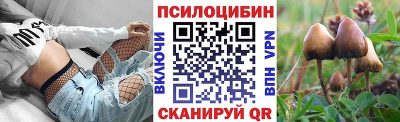Галлюциногенные грибы GOLDEN TEACHER Южно-Сухокумск